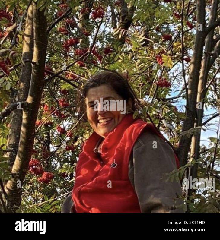 Woman picking rowanberries und autumn in the mountains , Frau pflückt vogelbeeren in den Bergen Stock Photo