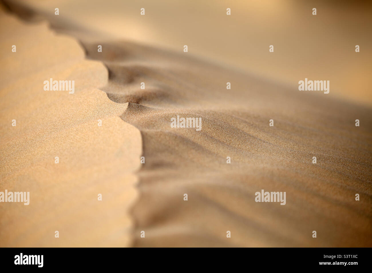 Closeup desert sand dune texture, minimalism concept - Smartphone Captured Stock Image