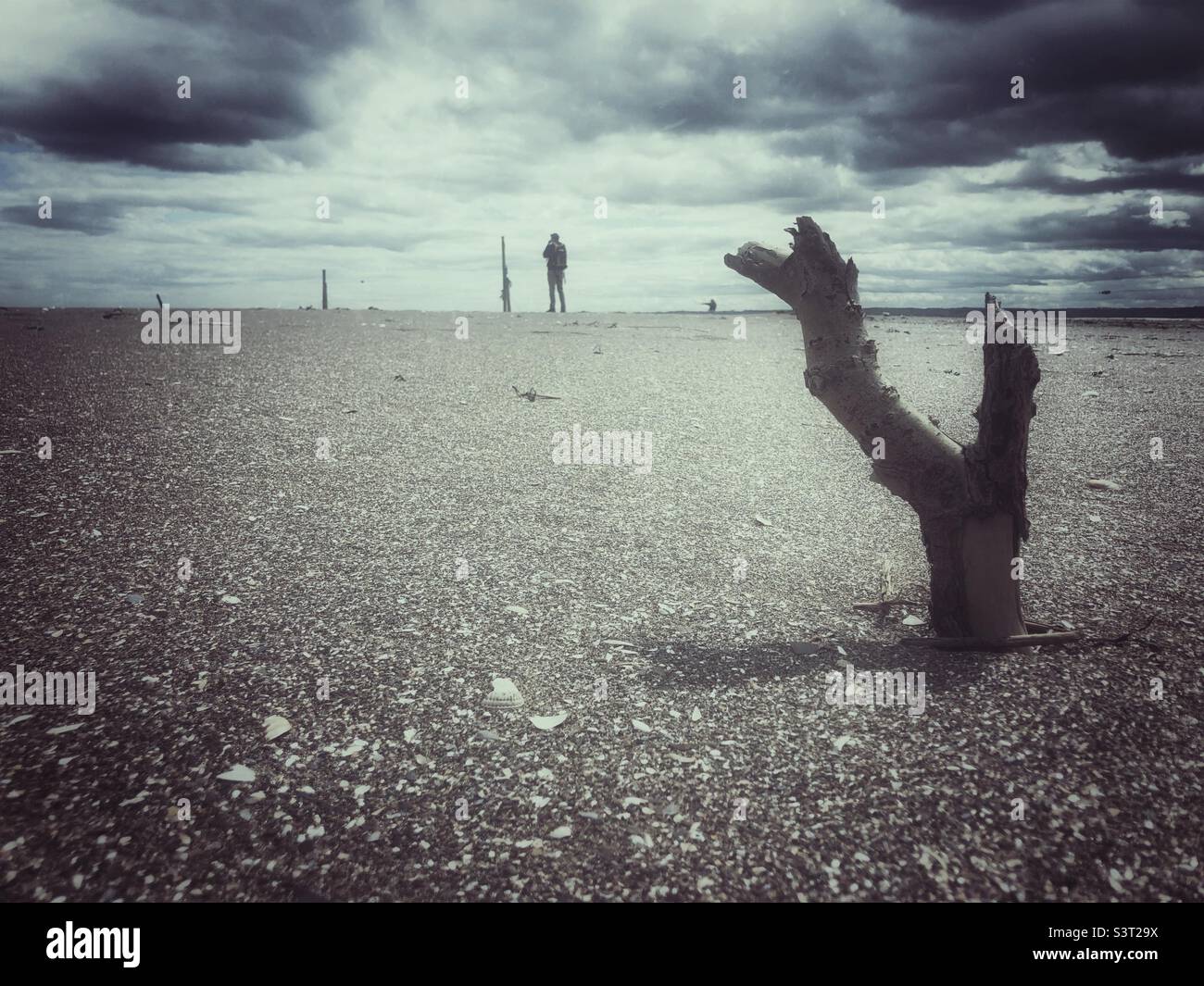 Moody Beach - Smartphone Captured Stock Image