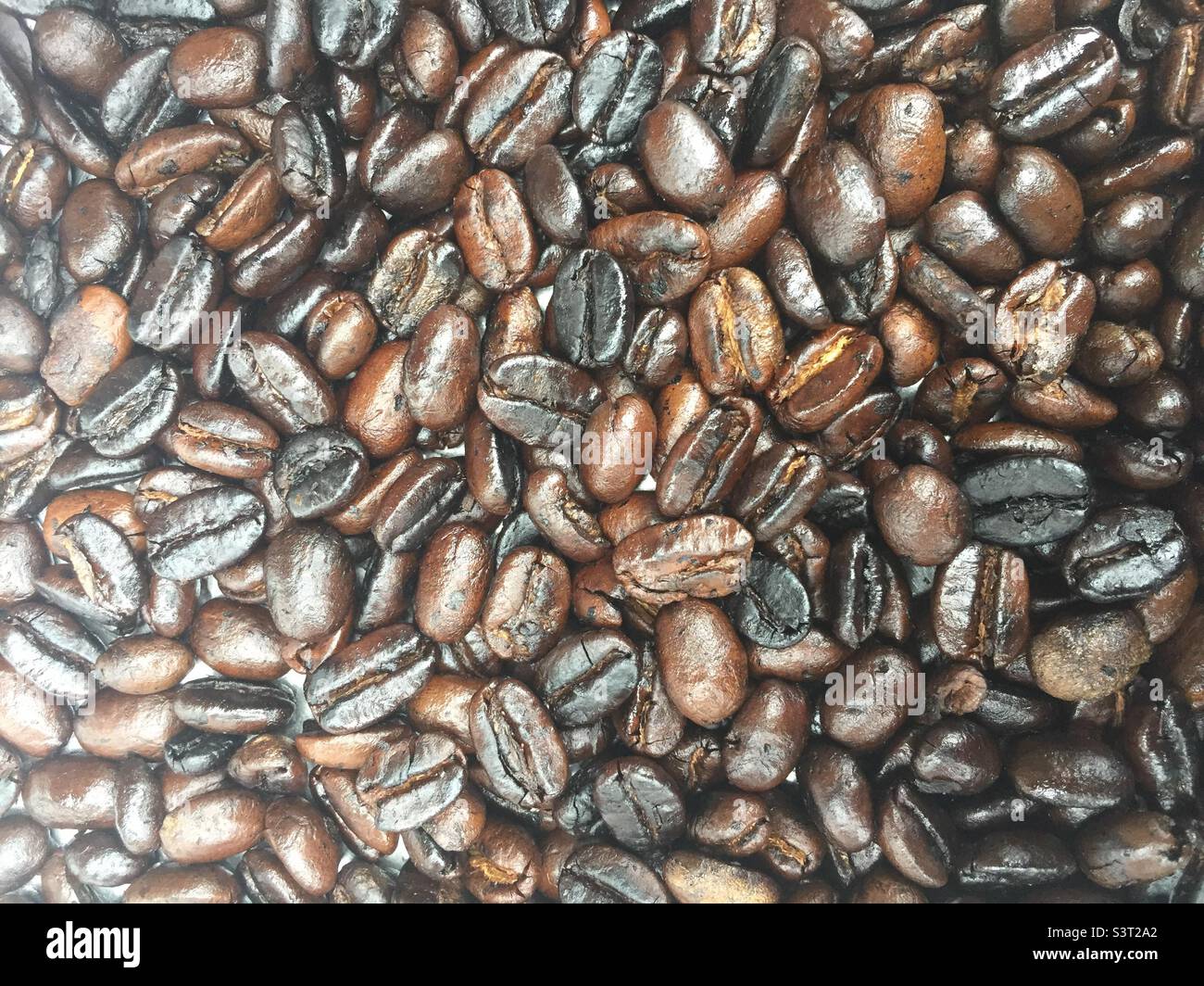 Fresh roasted African coffee beans Stock Photo Alamy