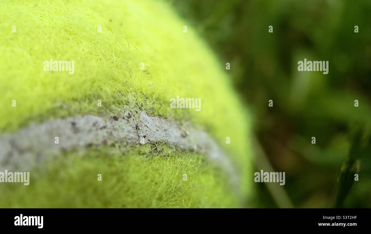 Dirty Tennis Ball Stock Photo Alamy