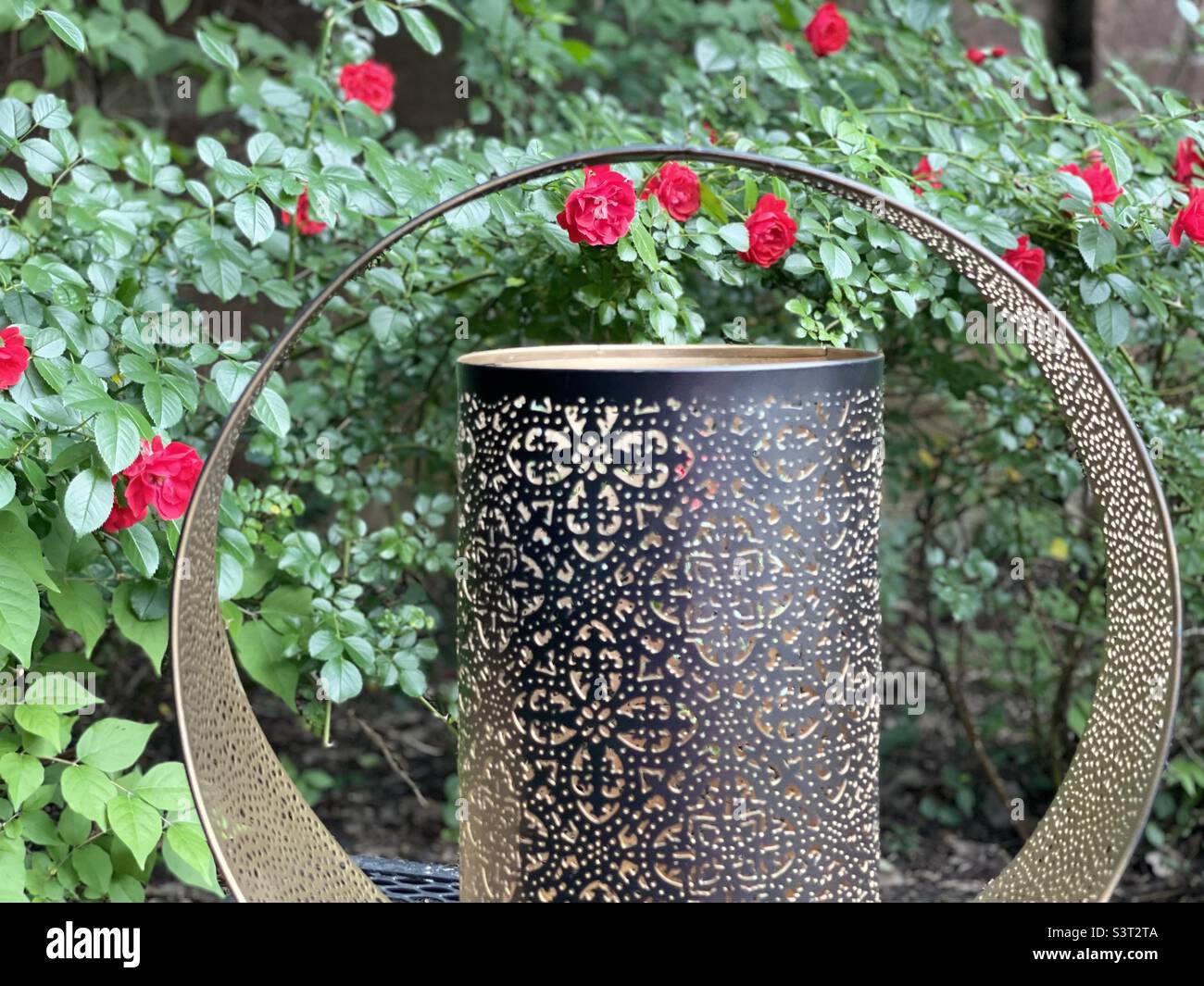 Kentucky Rose Garden Stock Photo Alamy