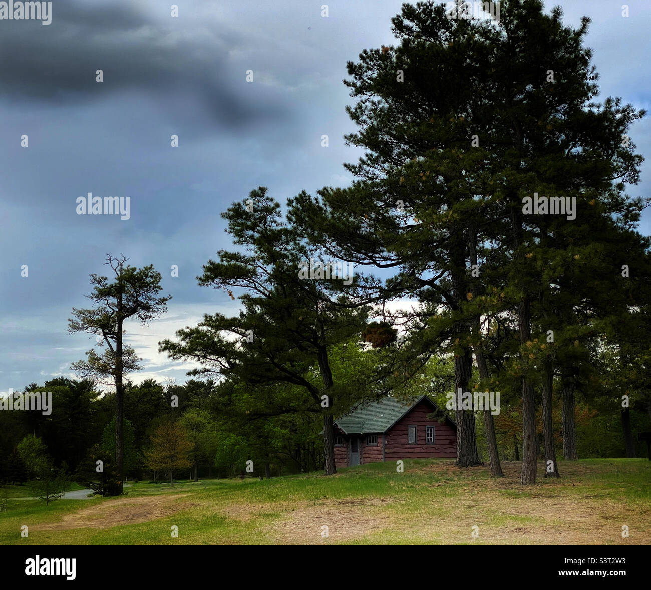 A cabin in the woods - Smartphone Captured Stock Image