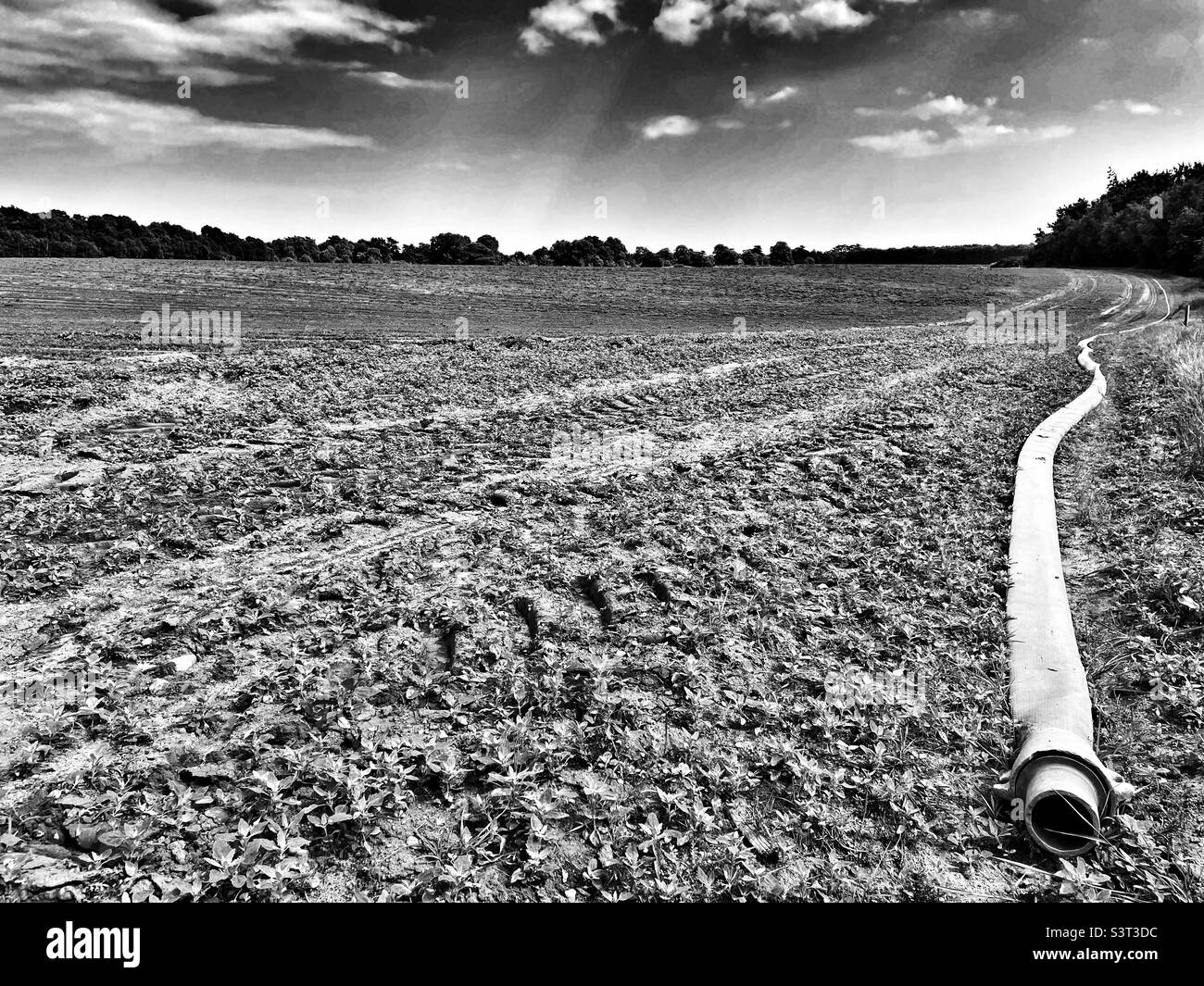 Irrigation pipe Sutton Heath Suffolk Stock Photo