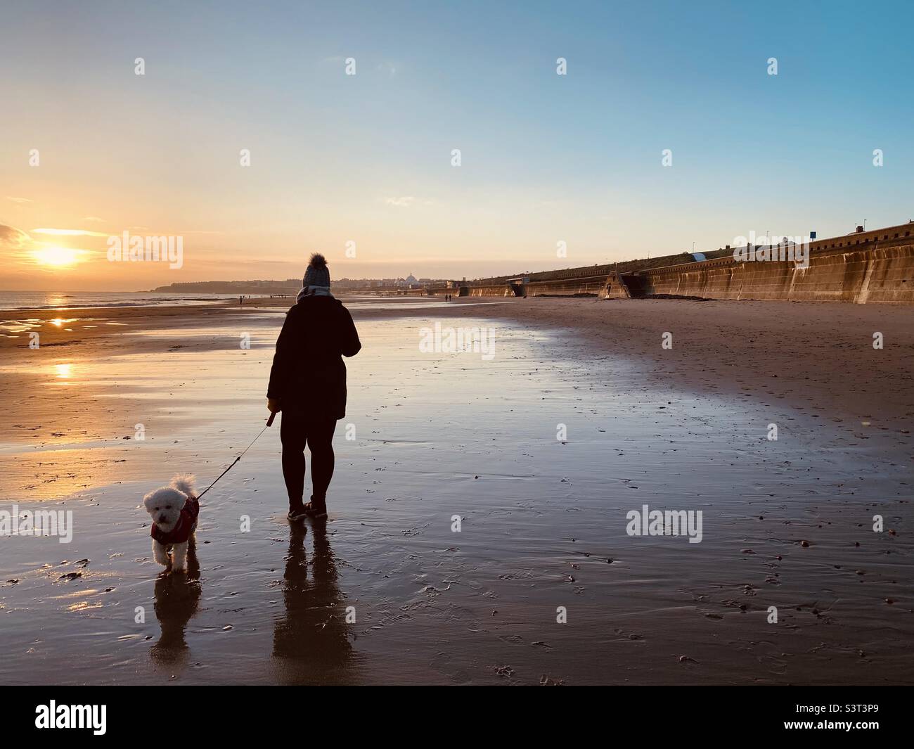 Woman walking her dog on the beach hi-res stock photography and images ...