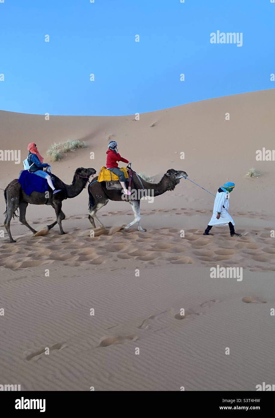 Camel riding guided tour in the Moroccan Desert, Morocco, North Africa - Smartphone Captured Stock Image