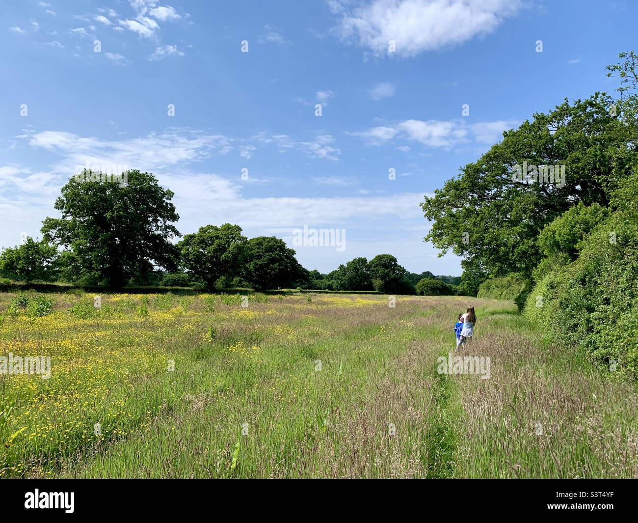 Children playing in buttercup meadow Stock Photo