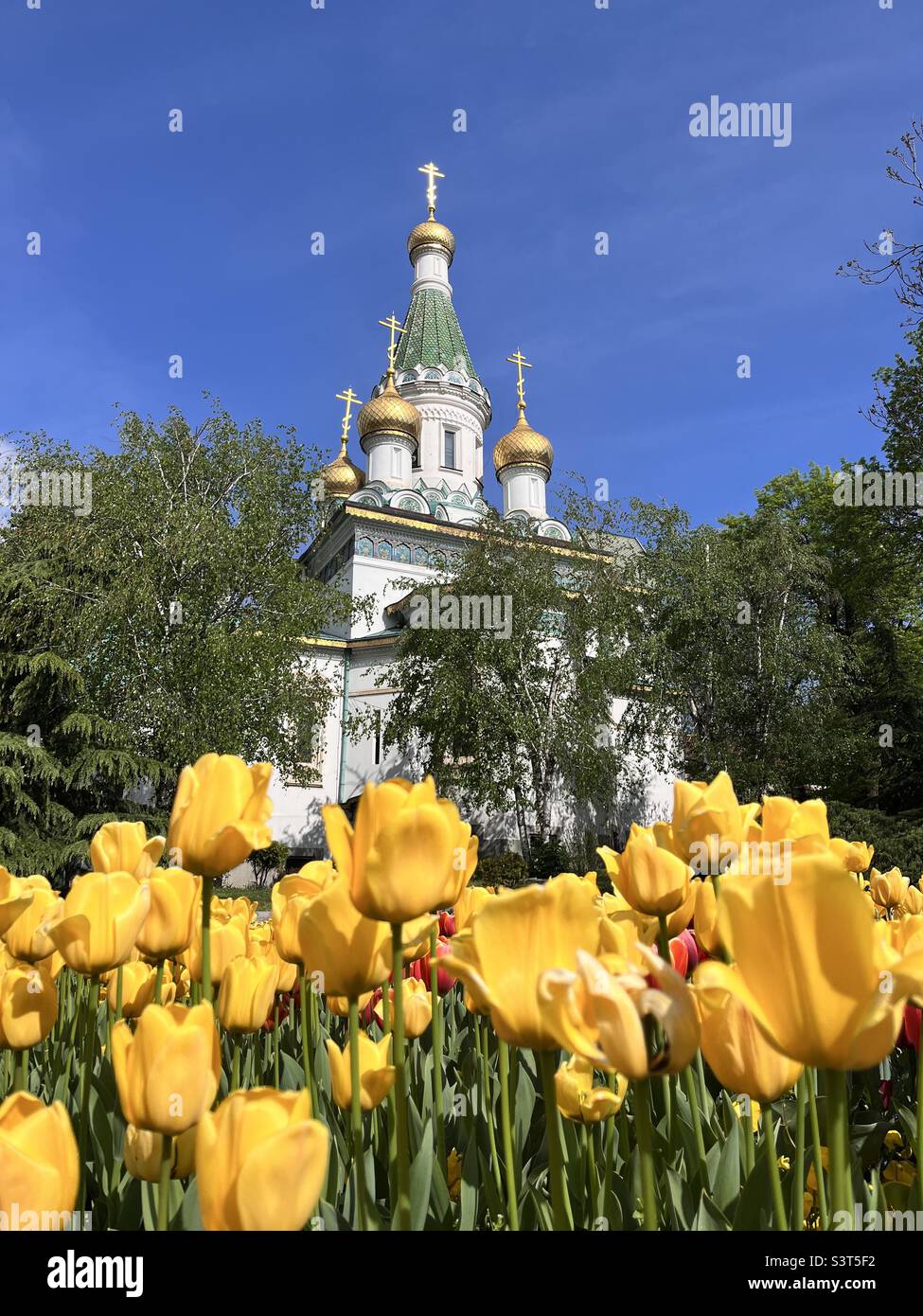 Russian church of St. Nicolas the Miracle Maker and yellow tulips close view in Sofia Bulgaria, Eastern Europe, Balkans, EU - Smartphone Captured Stock Image