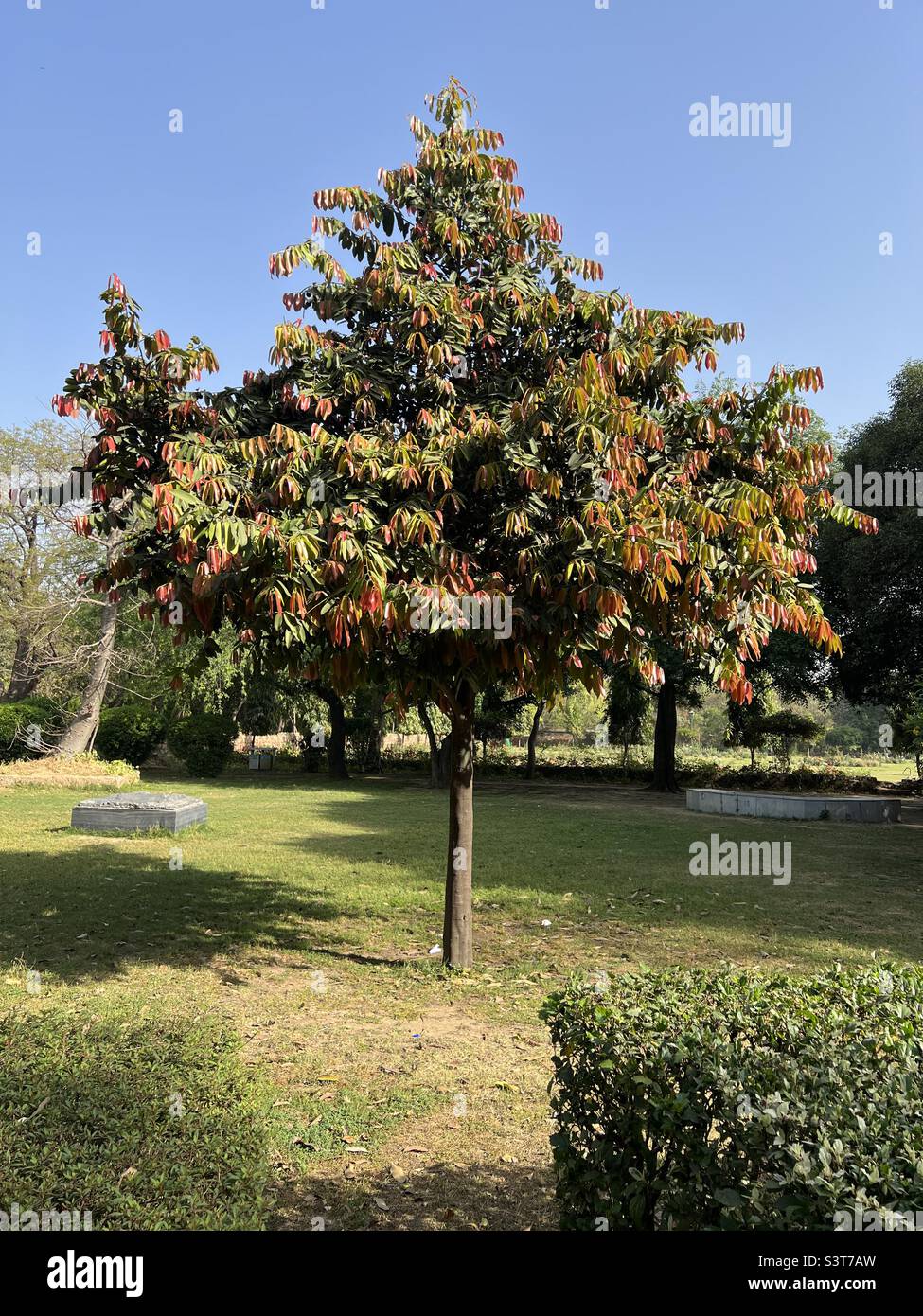 Spring is here Stock Photo Alamy