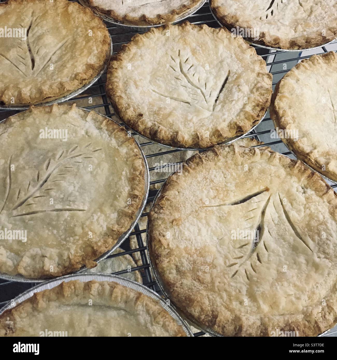 Fresh baked pies Stock Photo Alamy
