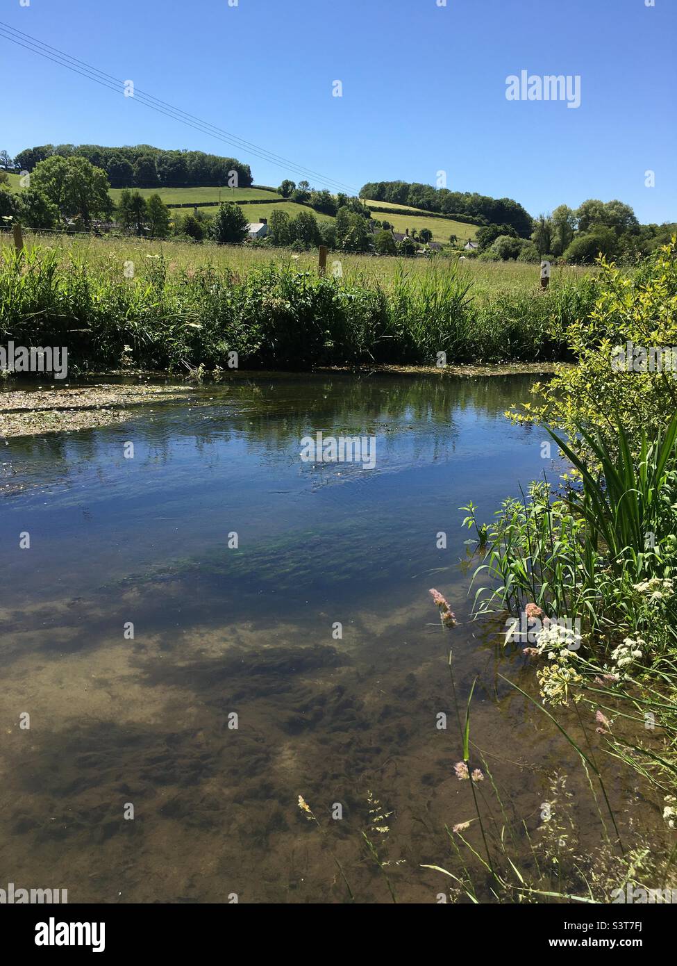 River Frome in Frampton Dorset Stock Photo Alamy