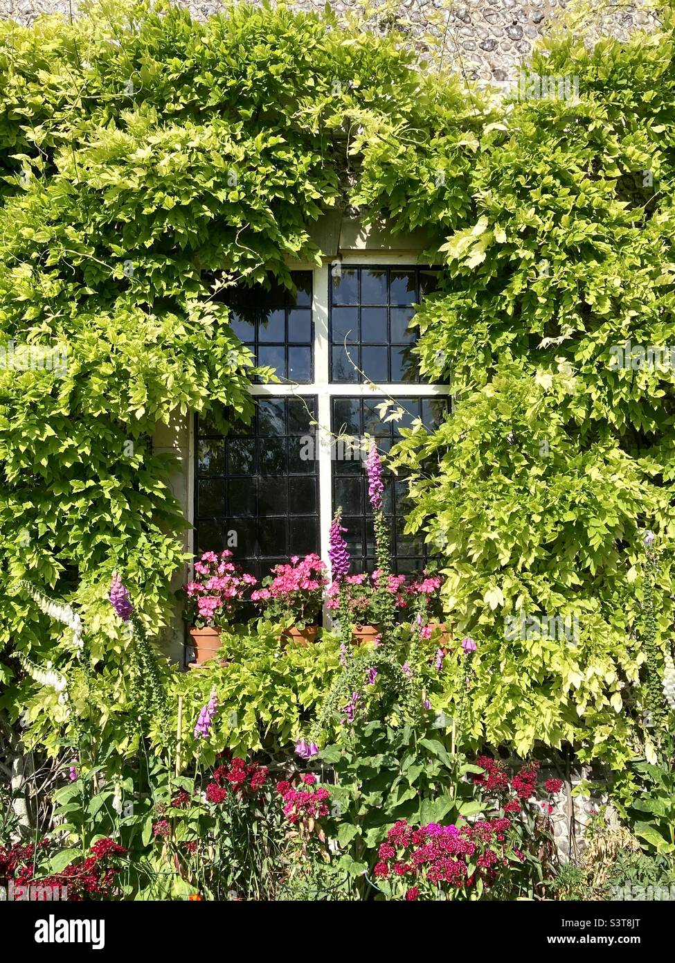 A window at Glynde Place in East Sussex framed by climbing plants and flower pots in the summer - Smartphone Captured Stock Image