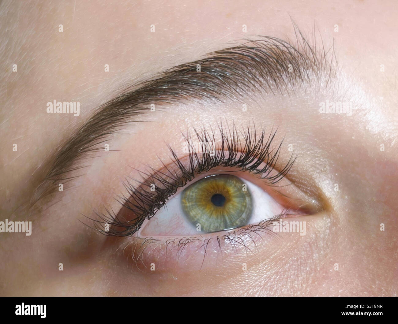 The procedure of classical eyelash extension.  Beautiful female eyes close-up with long eyelashes Stock Photo