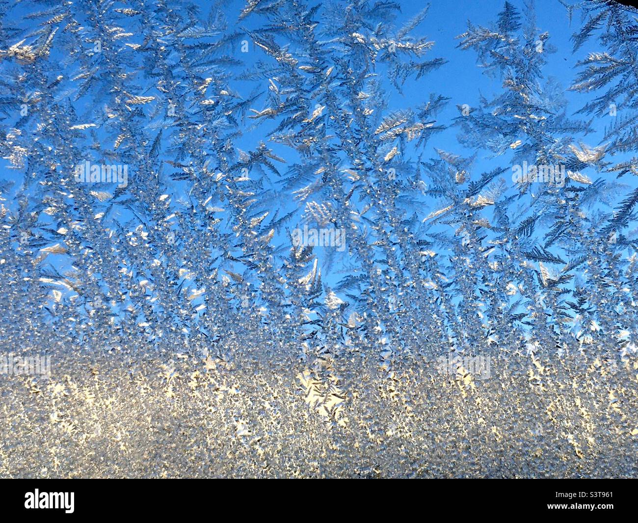 Ice on car window screen in the morning blue and yellow Stock Photo - Alamy
