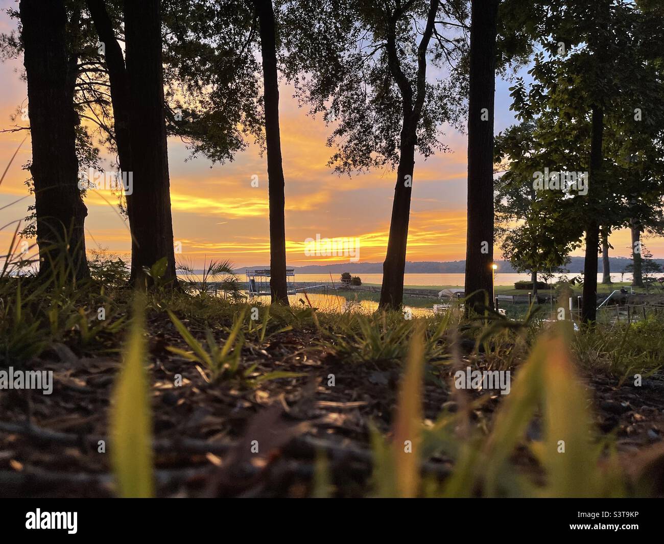 Lake Eufaula Alabama Stock Photo Alamy