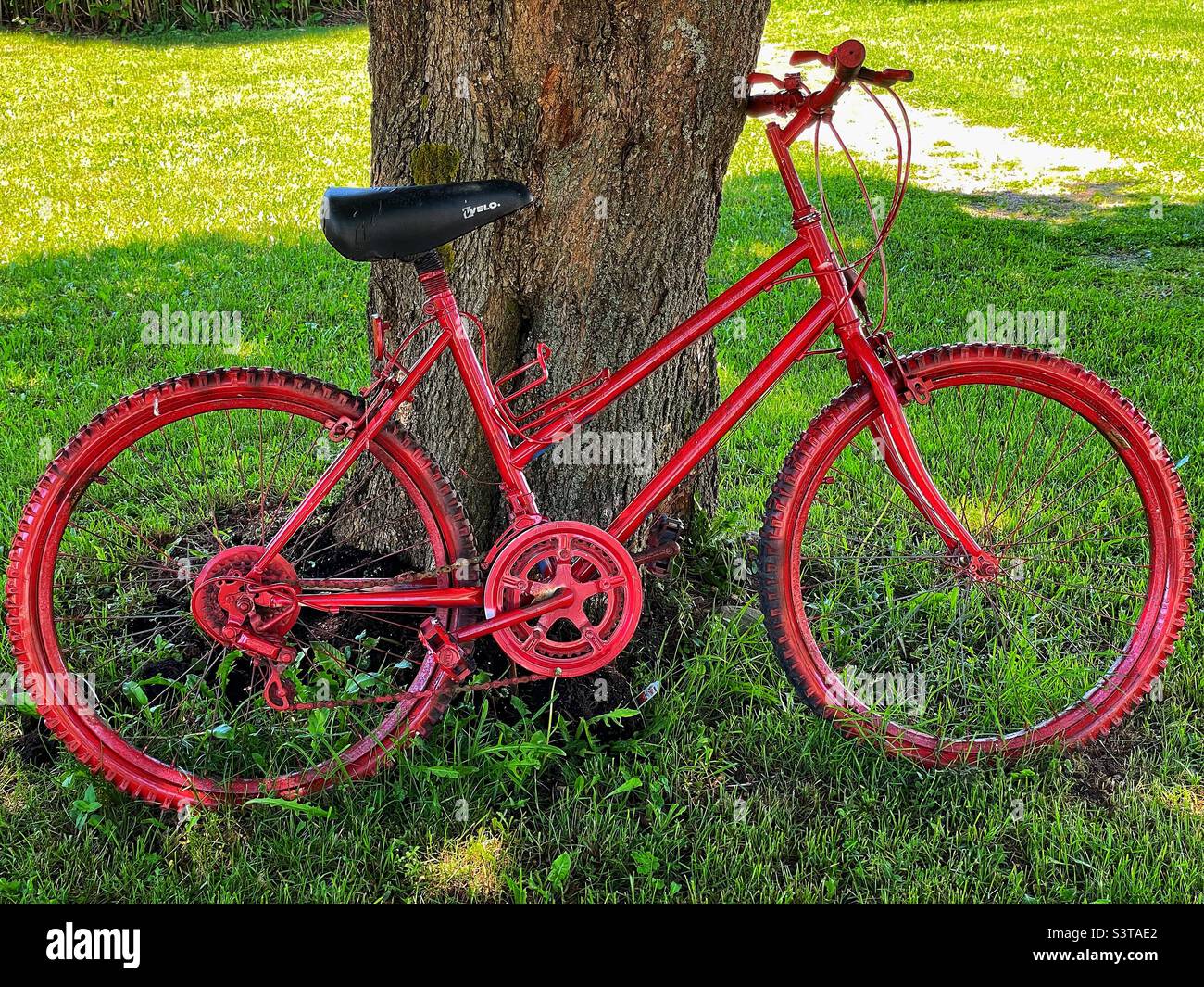Old red bicycle under the shade of a tree. Stock Photo