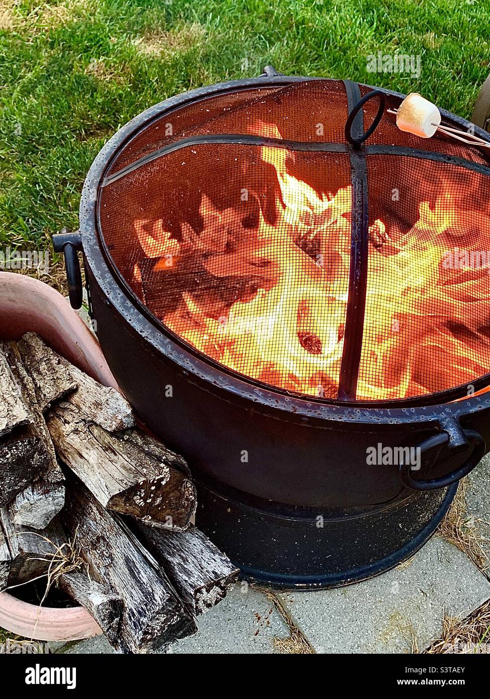 Marshmallow roasting over backyard fire pit Stock Photo