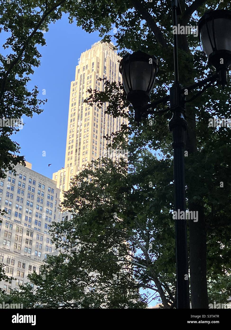 New York City skyscraper framed by trees Stock Photo