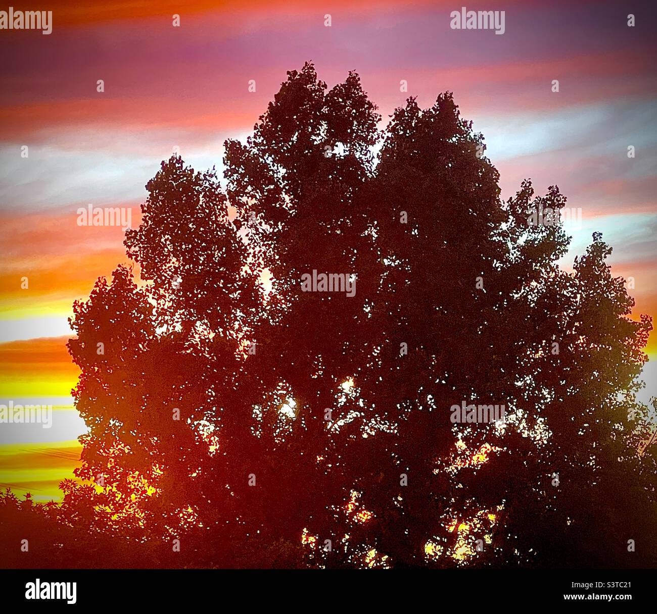 Summer sunset from a homes’ upstairs window in Utah, USA. The local Utah neighborhood is silhouetted against a radiant, glowing sky. - Smartphone Captured Stock Image