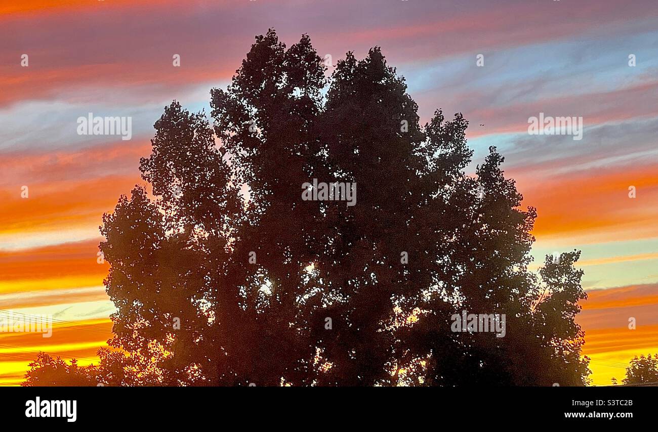 Summer sunset from a homes’ upstairs window in Utah, USA. The local Utah neighborhood is silhouetted against a radiant, glowing sky. - Smartphone Captured Stock Image
