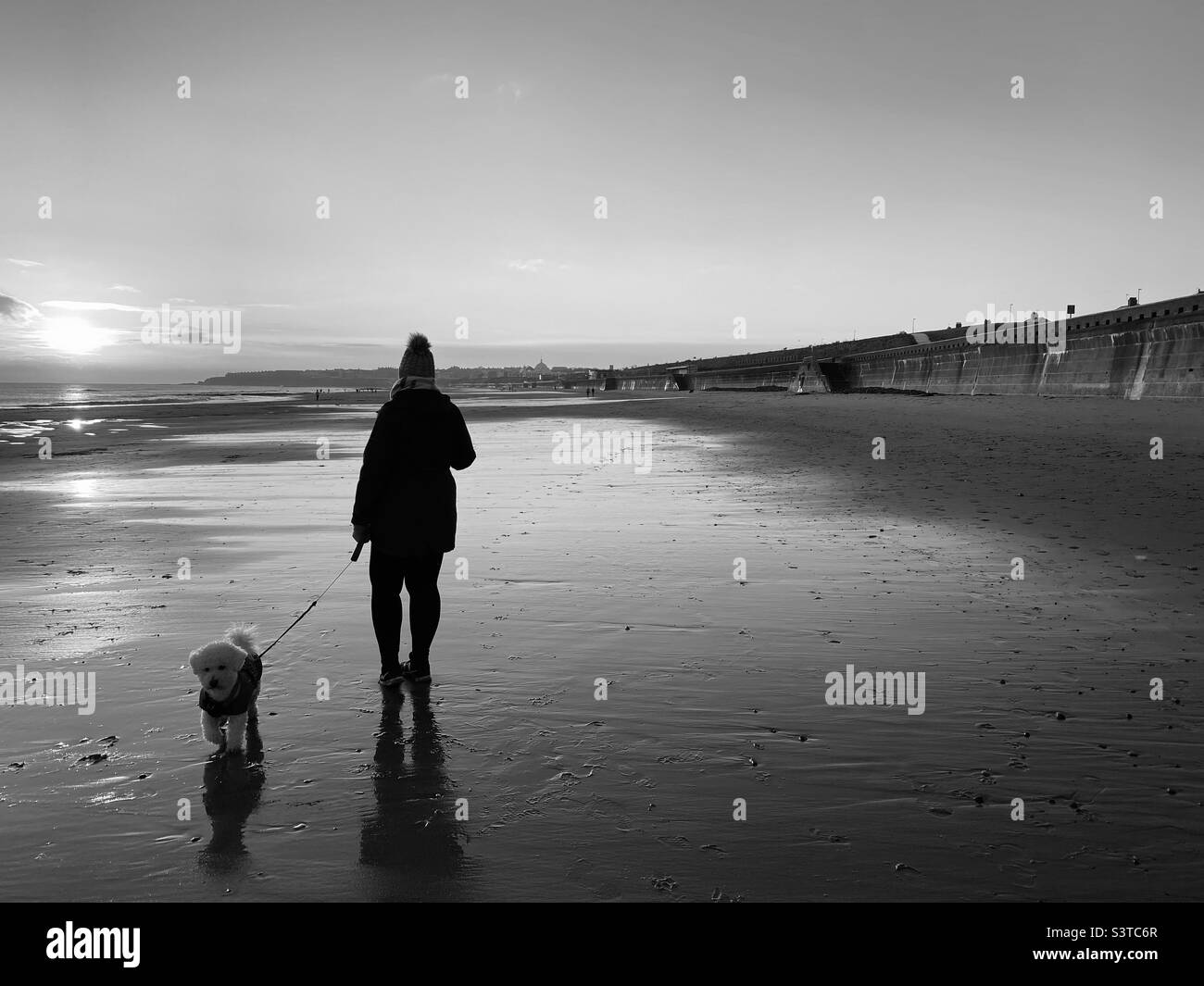 Woman walking her dog on the beach hi-res stock photography and images ...