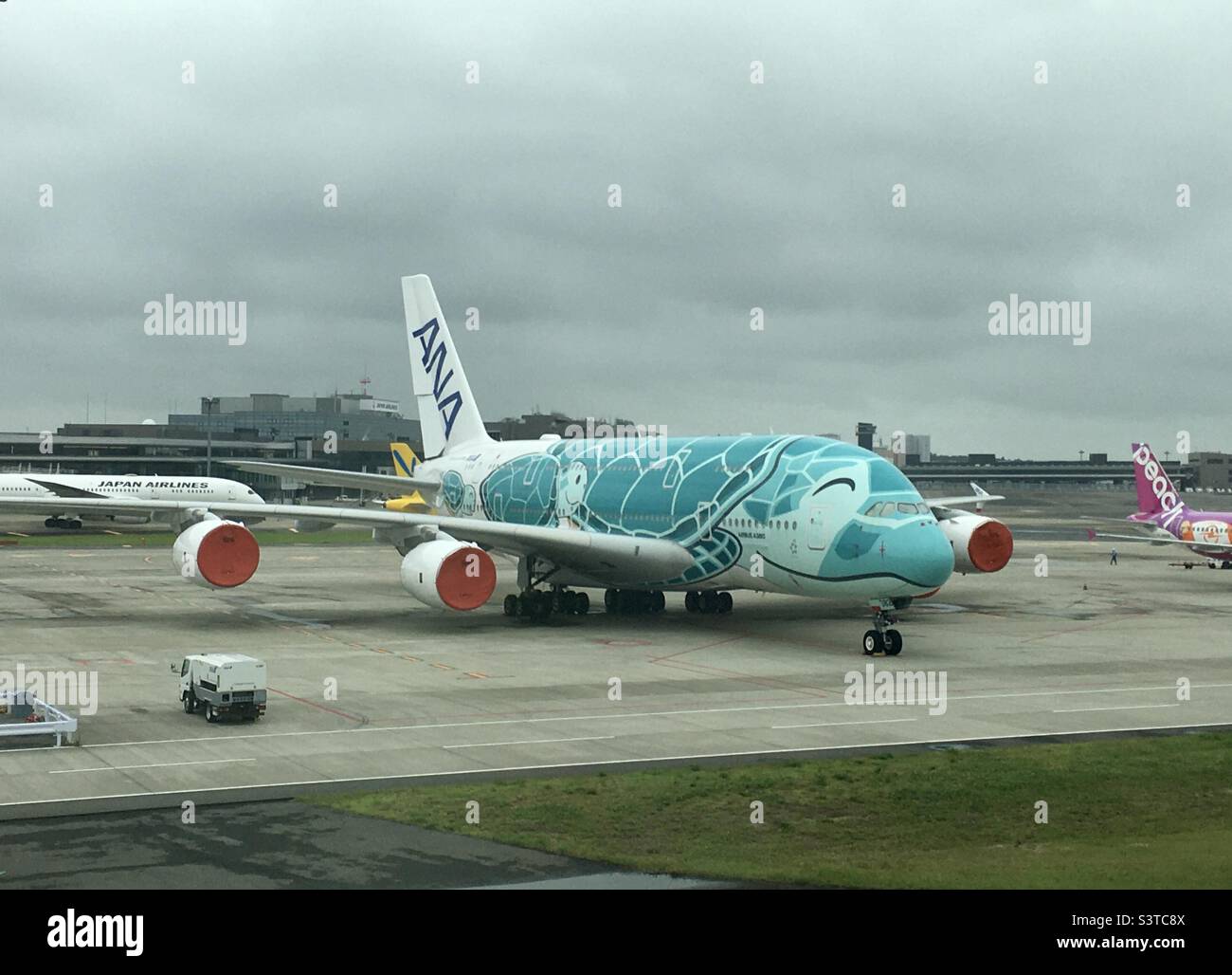 ANA Airbus 380 turtle design in long term parking due Covid at Narita airport. Stock Photo