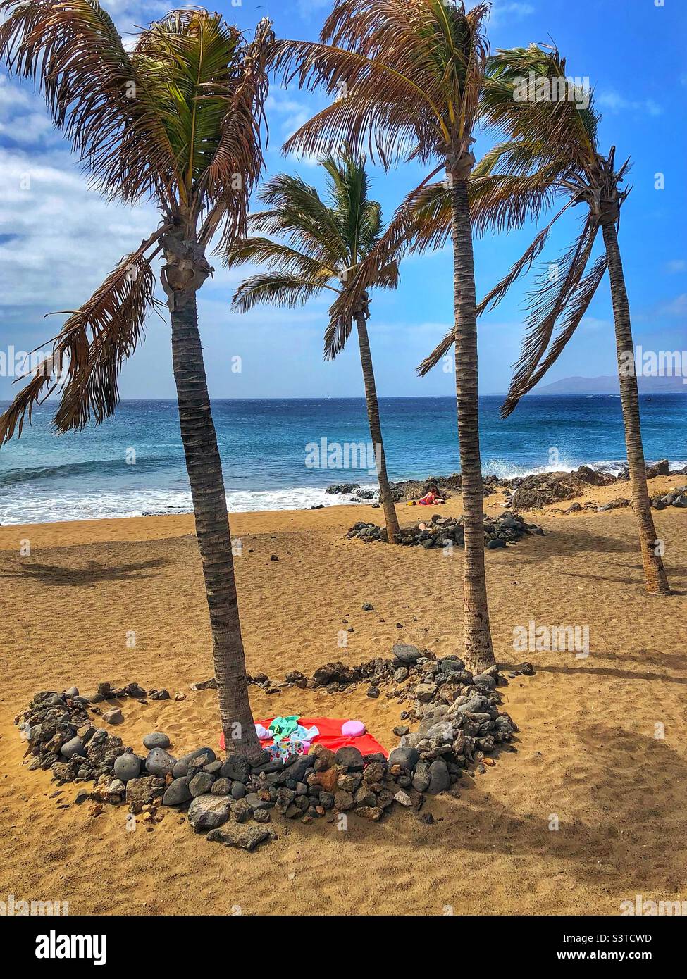 Wind shelters around palm trees on Puerto del Carmen beach in Lanzarote, Canary islands, Spain. - Smartphone Captured Stock Image Wind shelters around palm trees on Puerto del Carmen beach in Lanzarote, Canary islands, Spain. - Smartphone Captured Stock Image
