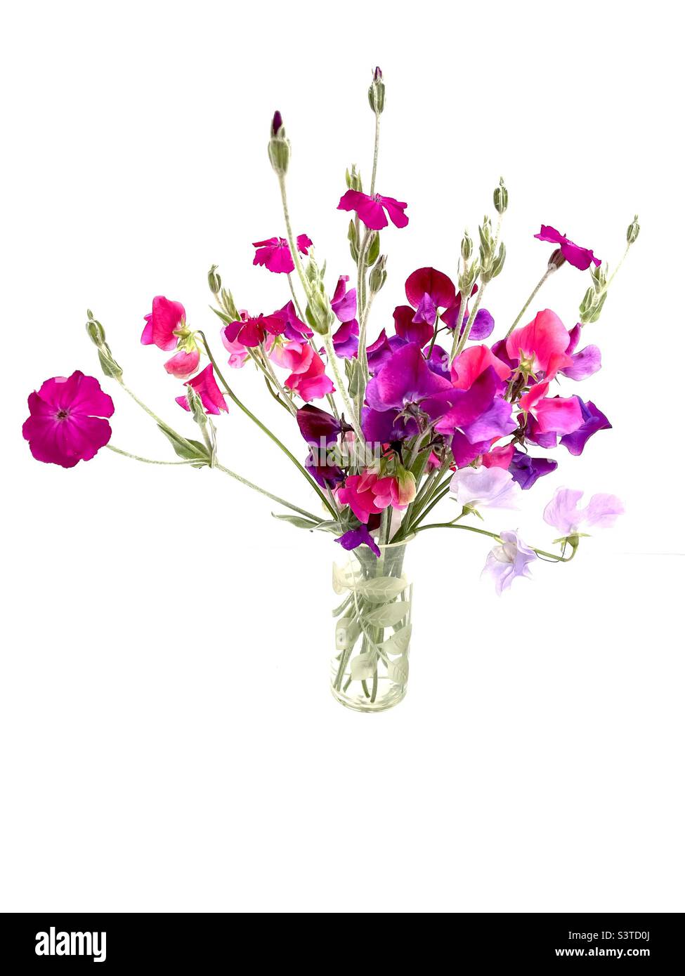 Sweet pea flowers - Smartphone Captured Stock Image