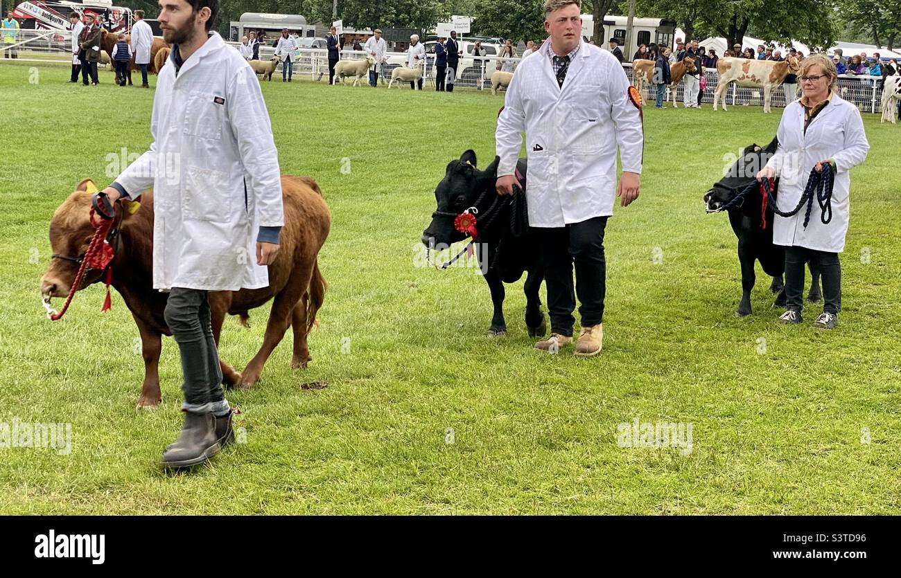 Parade at three counties show 2022 Stock Photo Alamy