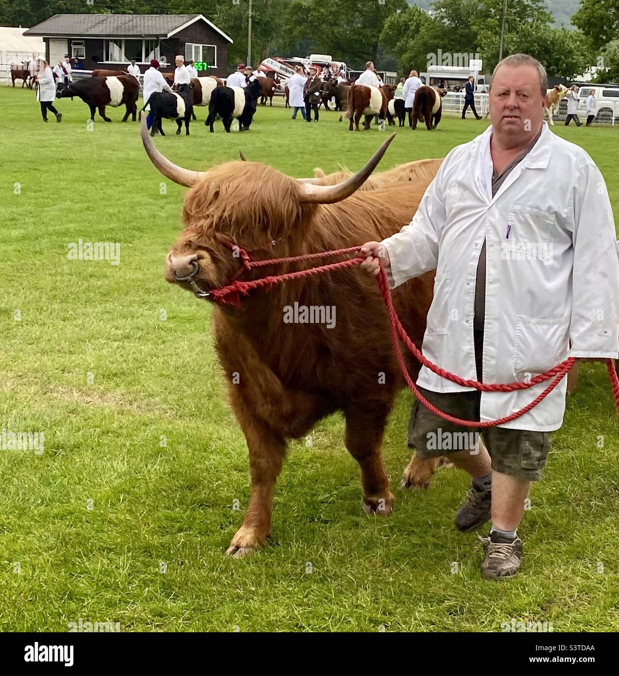 Grand parade at three counties show 2022 - Smartphone Captured Stock Image