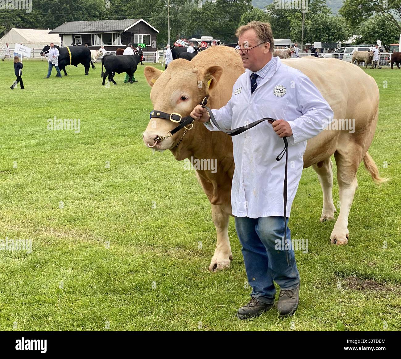 Grand parade at three counties show 2022 - Smartphone Captured Stock Image