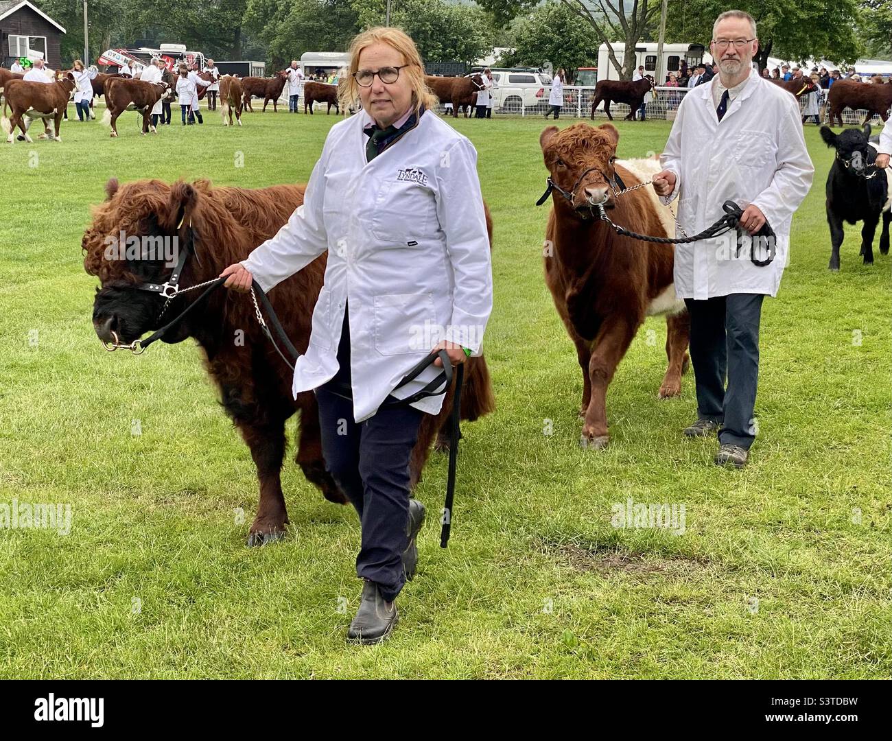Grand parade at three counties show 2022 - Smartphone Captured Stock Image