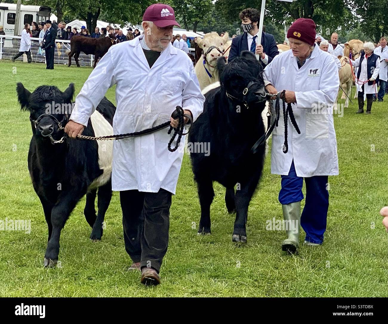 Grand parade at three counties show 2022 Stock Photo Alamy