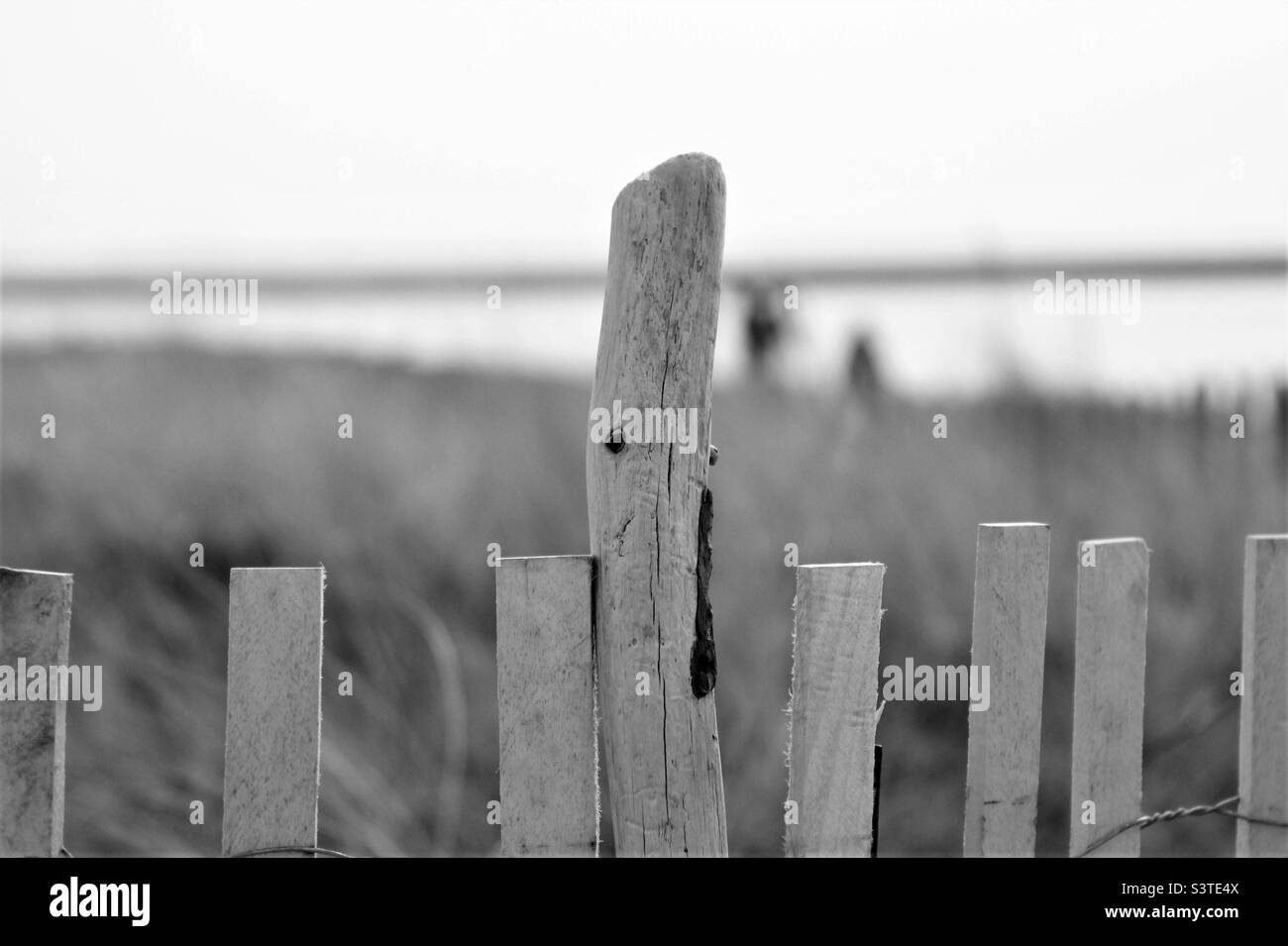 Fence post, black and white Stock Photo Alamy