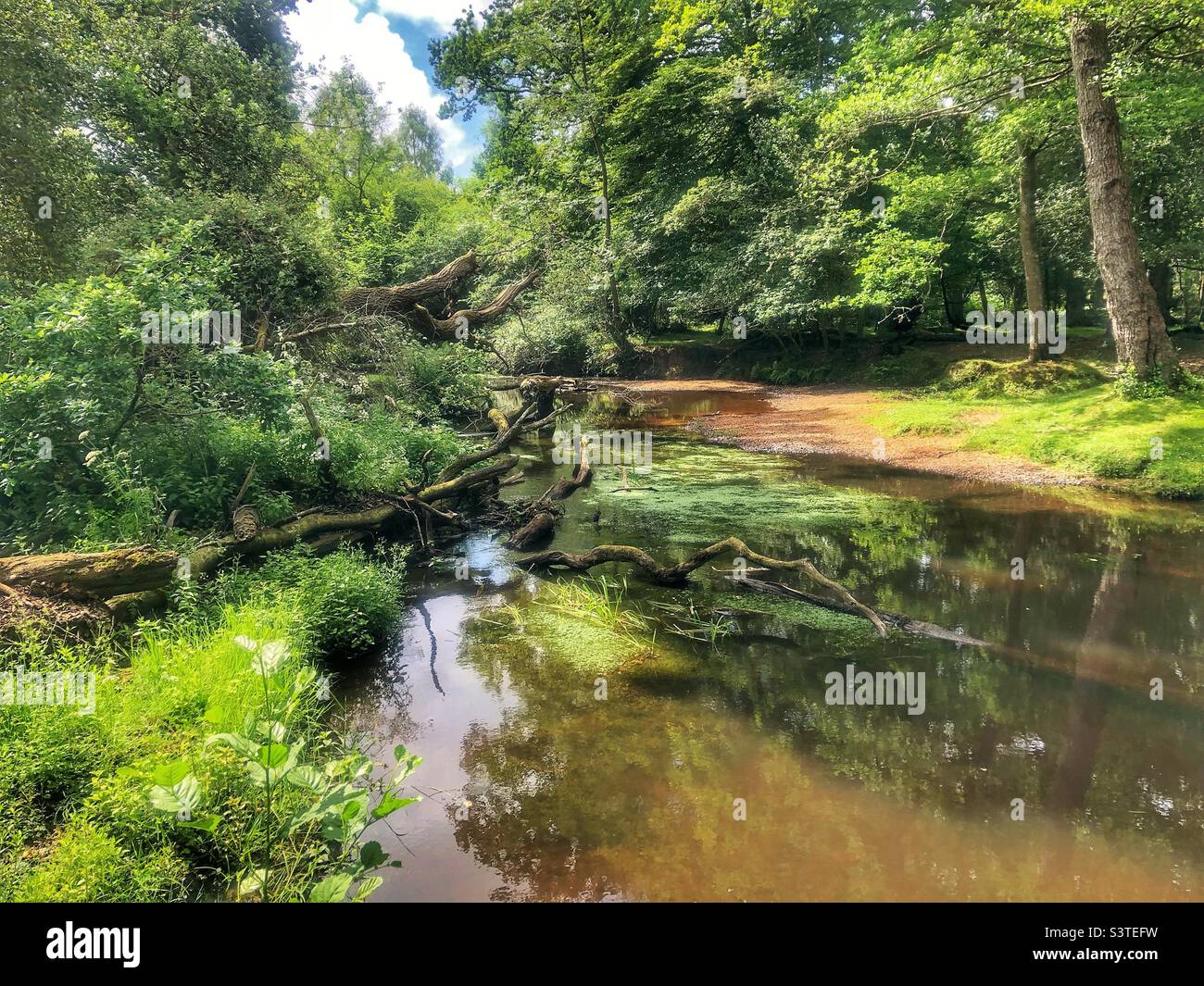 Lymington river in springtime, New Forest Brockenhurst Hampshire United Kingdom’ - Smartphone Captured Stock Image