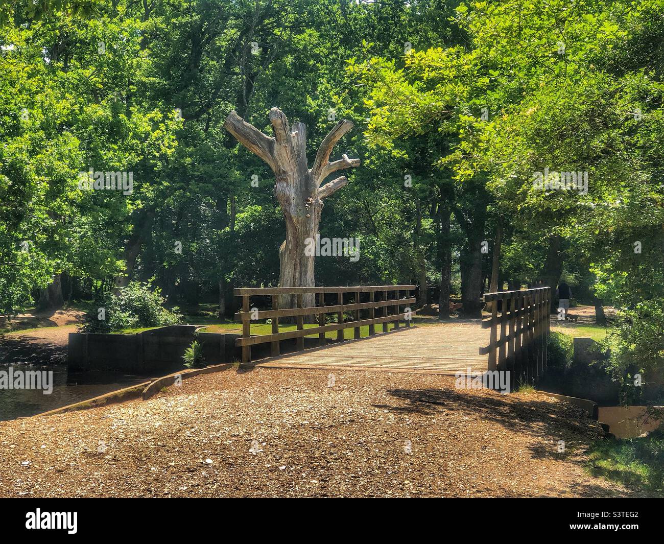 Bridge over Lymington river in the New Forest Brockenhurst Hampshire United Kingdom - Smartphone Captured Stock Image