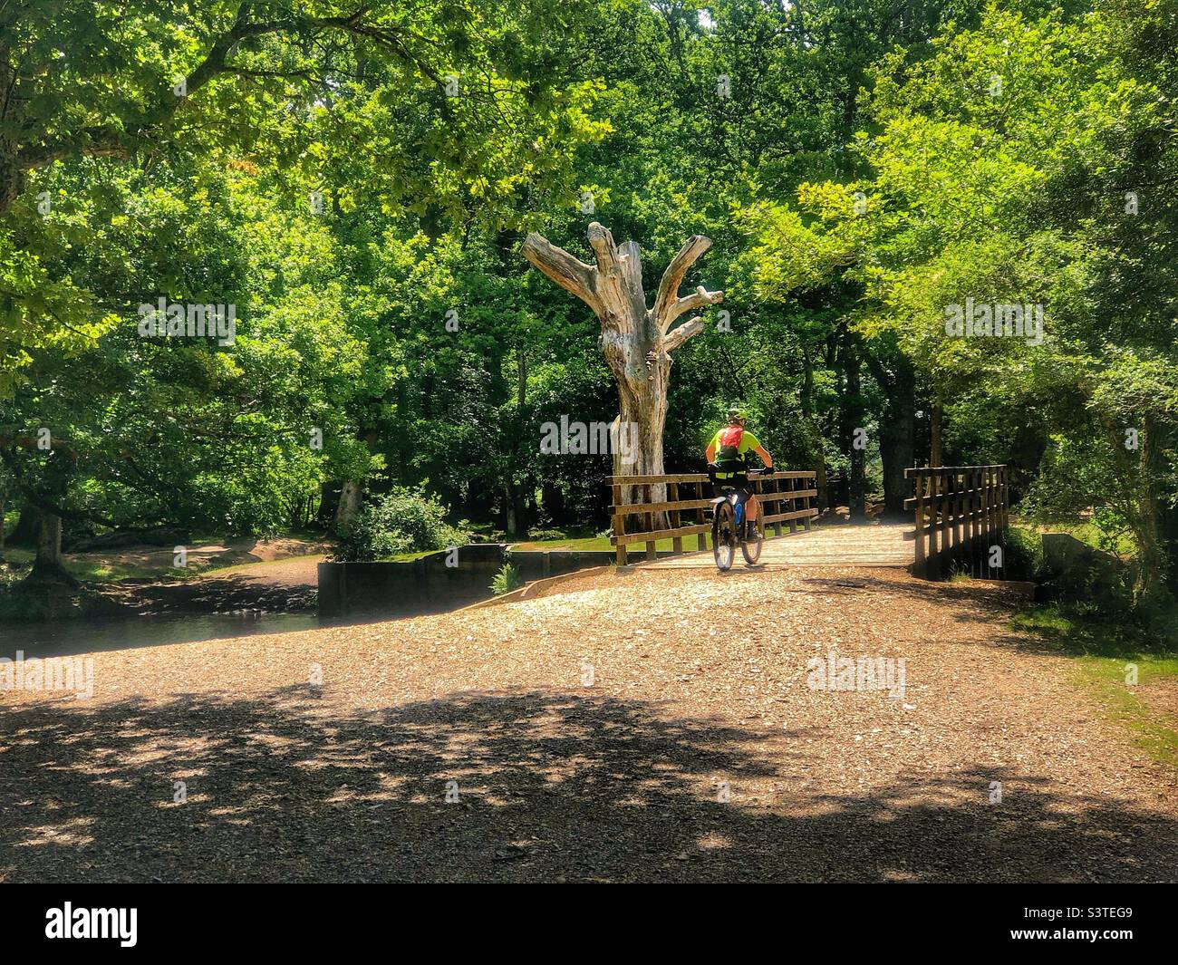 Cyclist riding over bridge at Lymington river in the New Forest National Park Brockenhurst Hampshire United Kingdom - Smartphone Captured Stock Image