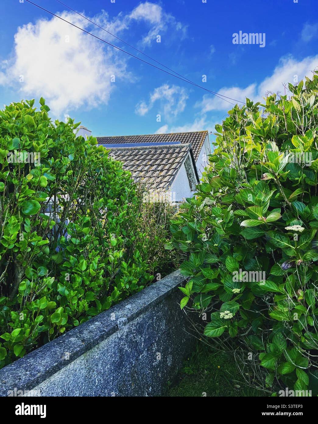 Unusual view of holiday cottage in Praa Sands Cornwall UK. - Smartphone Captured Stock Image