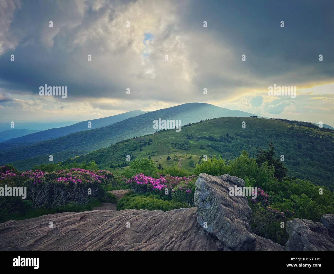 Roan Highlands Topix