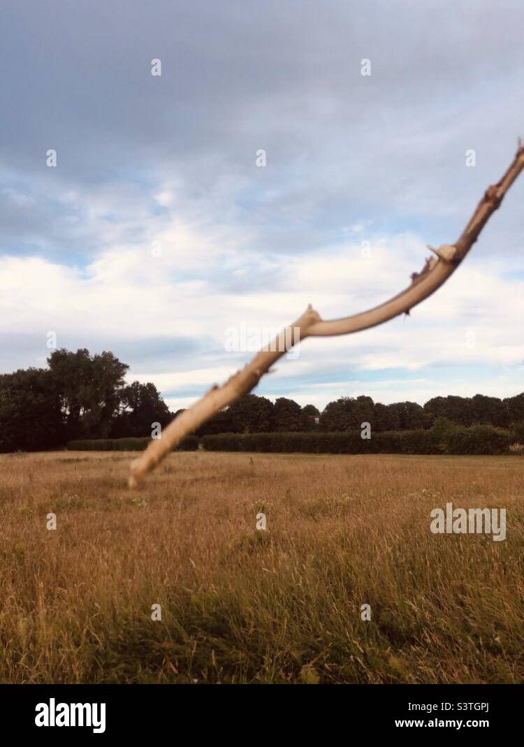 A stick floating in the air Stock Photo