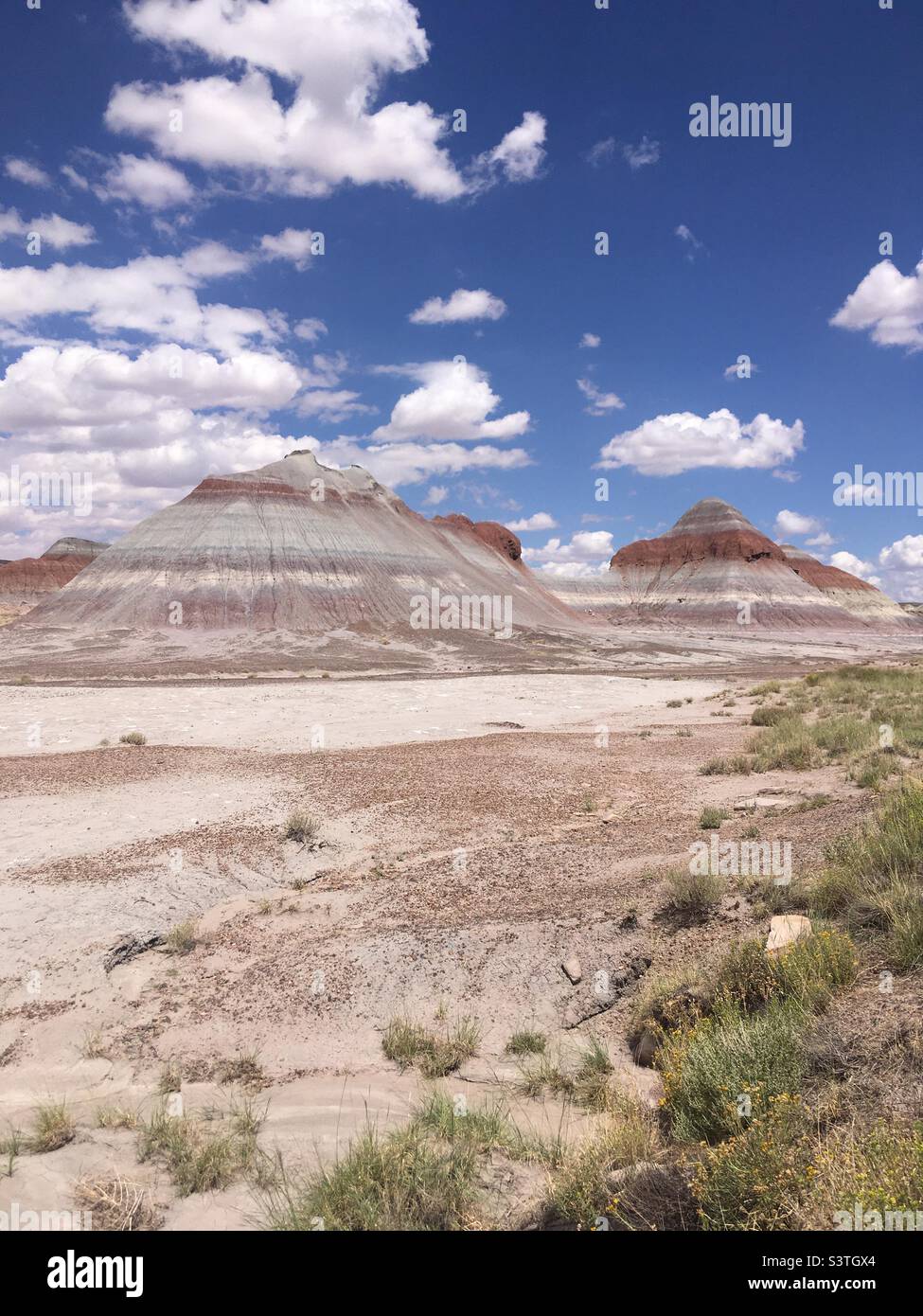 Petrified Forest National Park Arizona Stock Photo