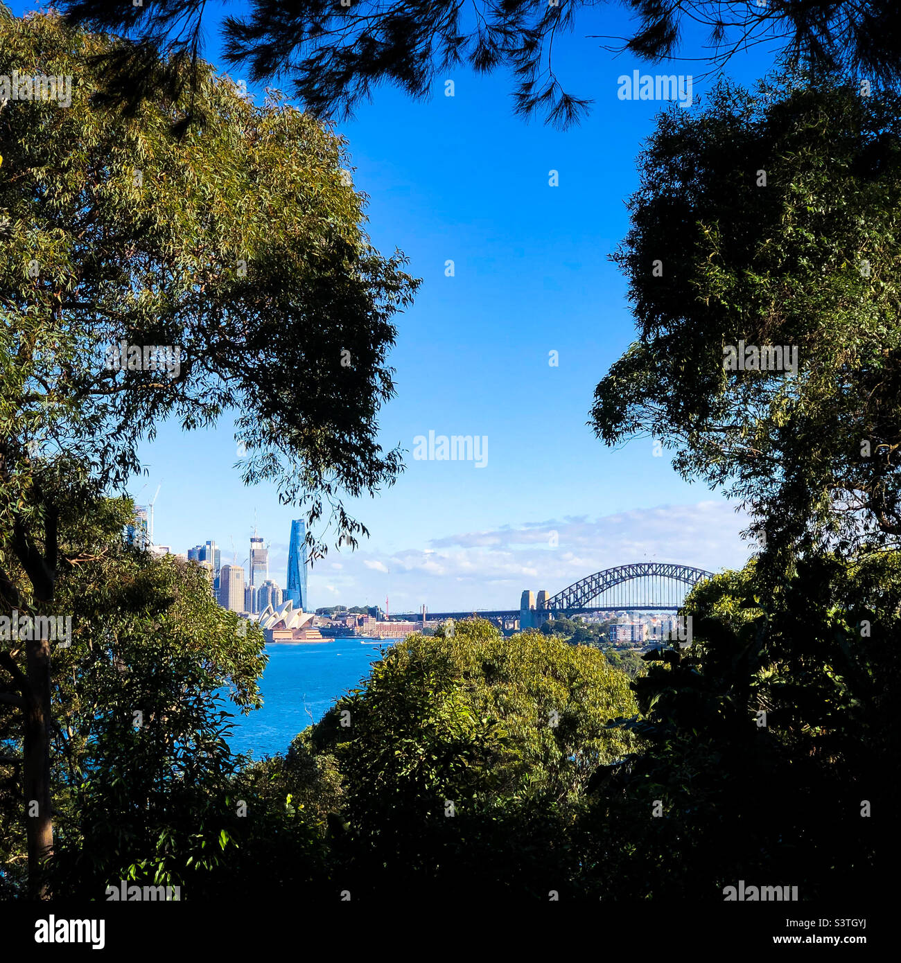 Sydney from Taronga Zoo - Smartphone Captured Stock Image