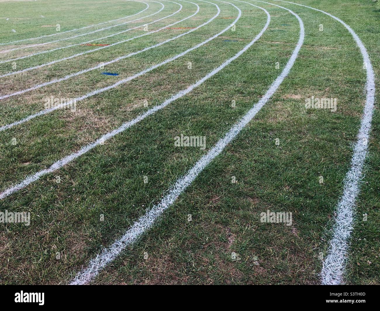Running tracks on grass Stock Photo