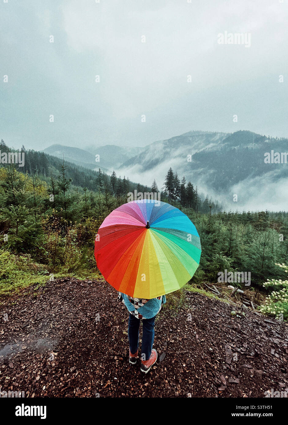 Misty PNW mountains and color wheel rainbow umbrella Stock Photo