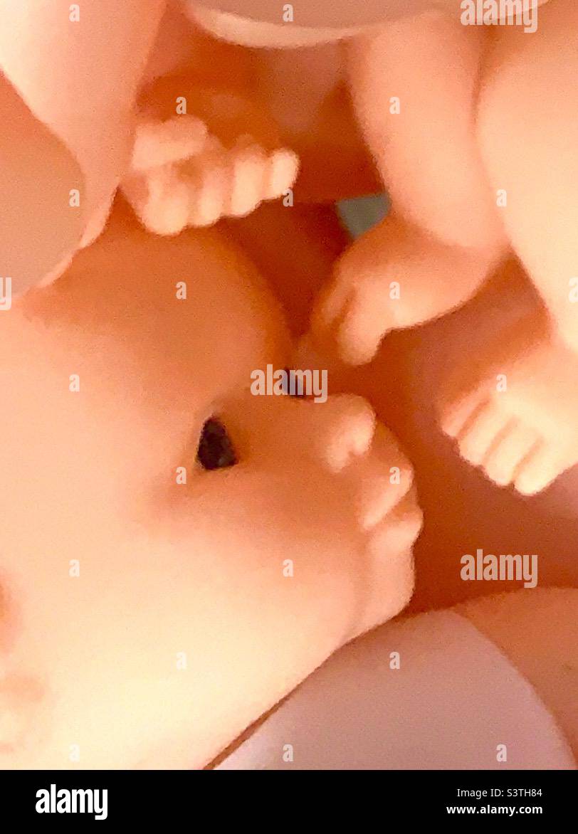 Baby dolls look like twins in mothers womb Stock Photo