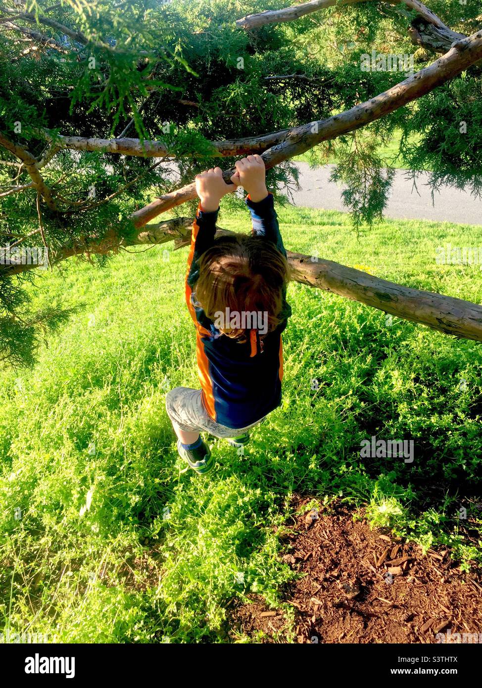 Toddler swinging from a tree, Halifax, Canada. Out in nature. Play. Alone. - Smartphone Captured Stock Image