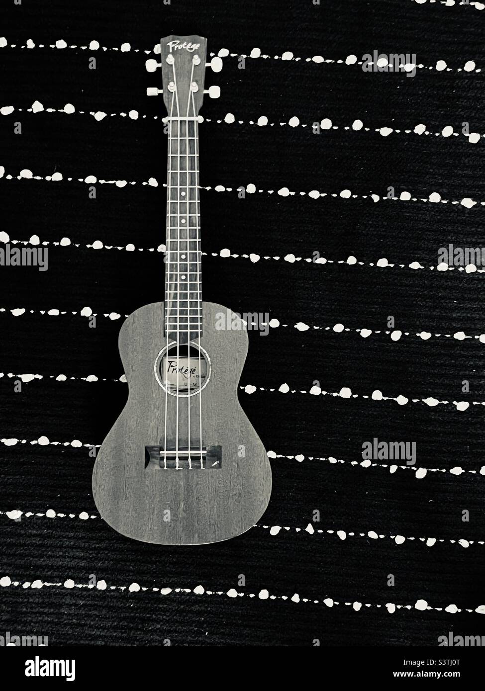 Guitar displayed on a black and white background Stock Photo