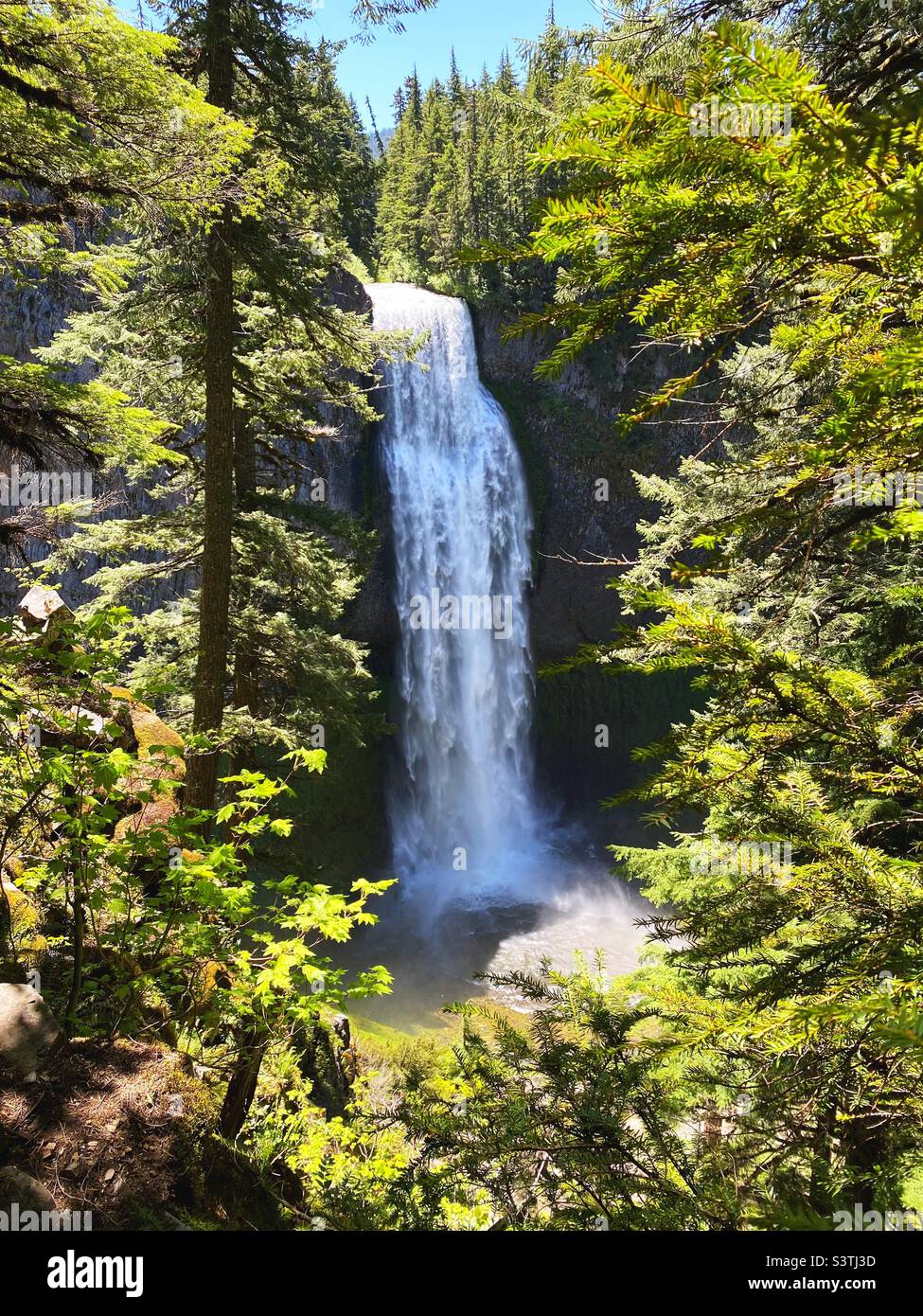Salt Creek Falls near Oakridge, Oregon, USA. Stock Photo