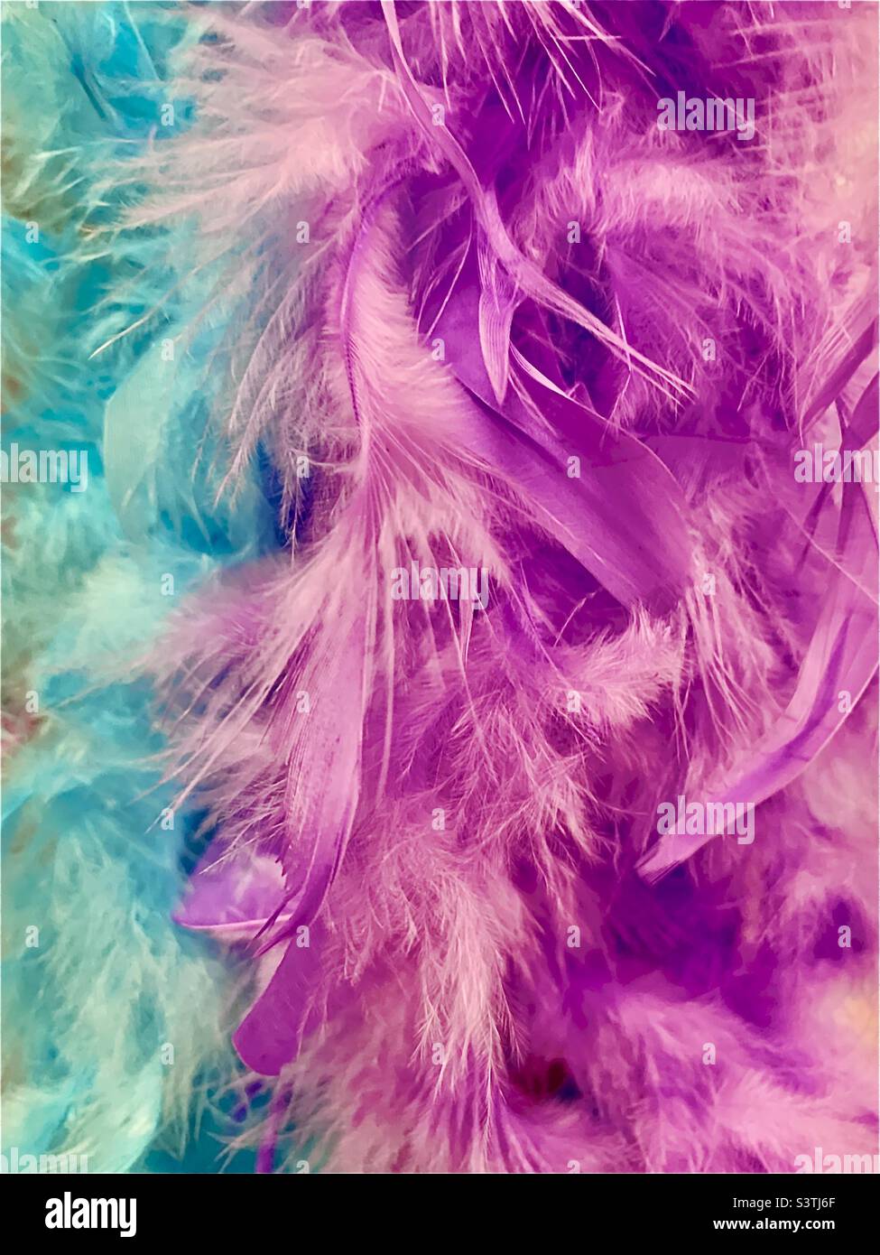 Blue and lavender pastel feather boas fill entire frame - Smartphone Captured Stock Image