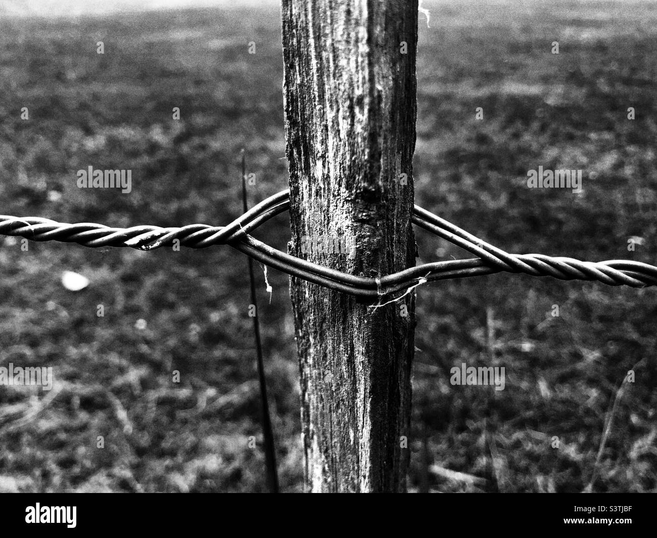 Wooden fence held with cable wire Stock Photo